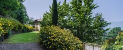 Il Giardino di Petra casale in vendita a Camaiore