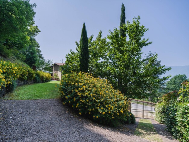 Il Giardino di Petra casale in vendita a Camaiore