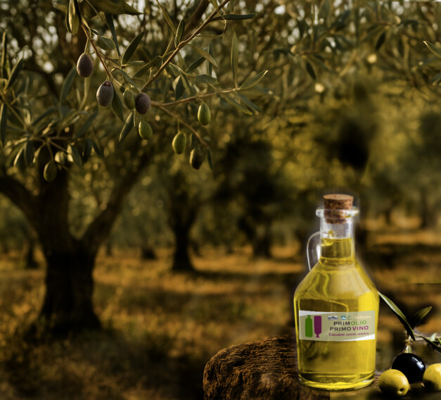 primolio primovino 2025